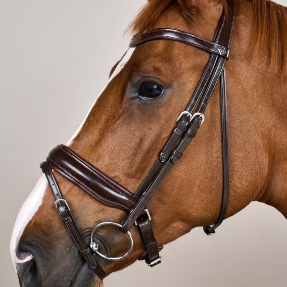 Uzdečka Dy'on Matte Large Crank Noseband Bridle With Flash WODCAM