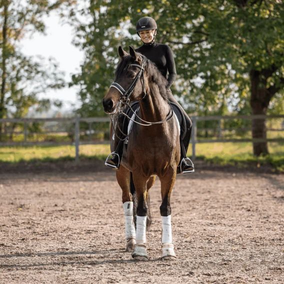 Drezurní páka Sprenger 42278xxx88 BICOLOR