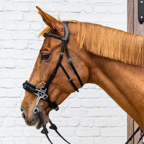 Speciální udidlo Hackamore Dy'on NE-14001