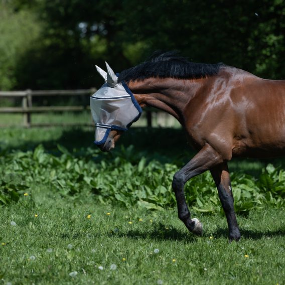 Maska na hlavu a nozdry Kingsland Lando Kolekce 2026