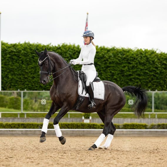 Podsedlová dečka LeMieux Loire Square DOPRODEJ