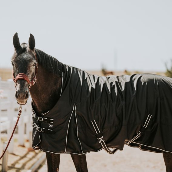Deka lehká výběhová Riding World Oxford polar fleece podšívka