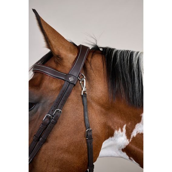 Uzdečka Dy'on Flash Noseband With Snap Hook WOJBHA