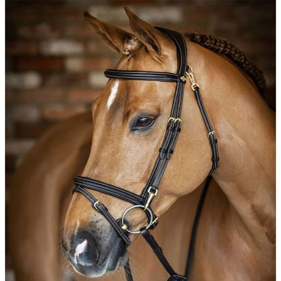 Uzdečka LeMieux Work a.k.n.