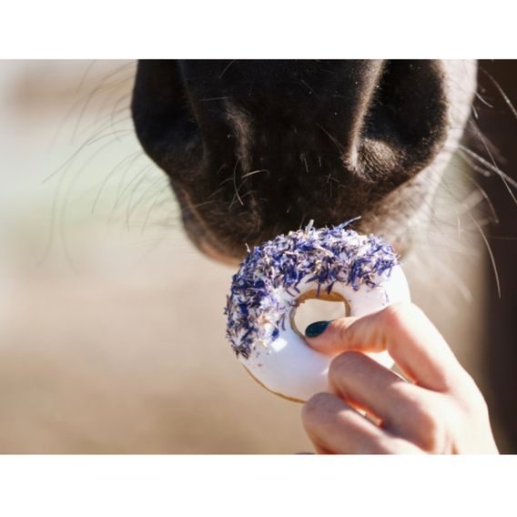 Pamlsky Candy Horse Donut s bylinkami 85g 2ks