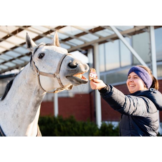 Pamlsky Candy Horse Cookies Valentine's day 30-40g