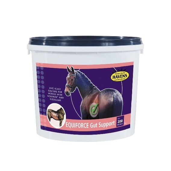 Havens EquiForce Gut Support