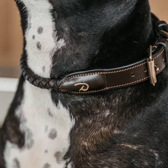 Obojek Dy'on Braided