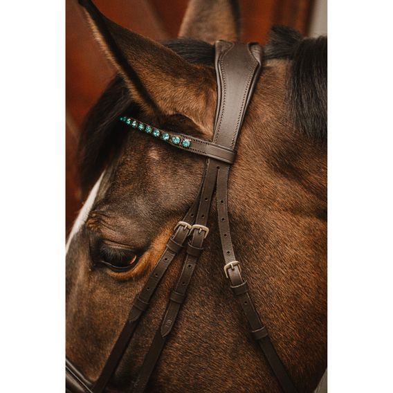 Uzdečka Cassini Stone s otěžemi švéd. nán.