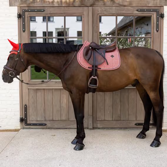 Čabraka na uši Kentucky Wellington Velvet Printing