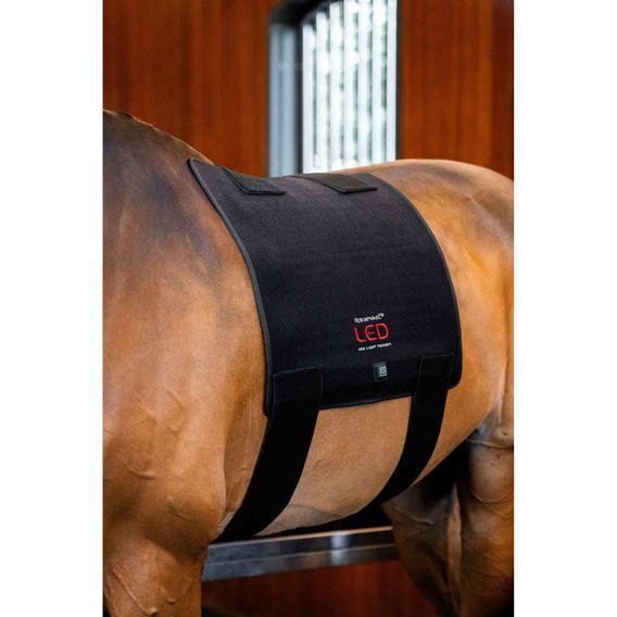 Deka Horseware® LED Red Light Therapy Pad
