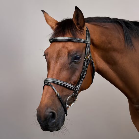 Uzdečka Dy'on Flash Noseband Bridle DY-10002