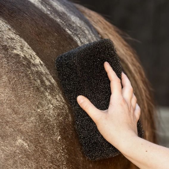 Equi super shiner QHP