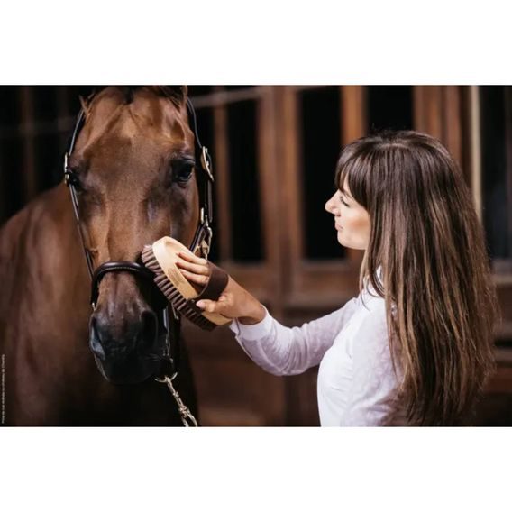 Kartáč Kentucky Overall Soft