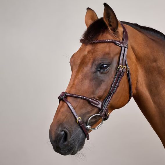 Uzdečka Dy'on Braided Flash Noseband DYARAY