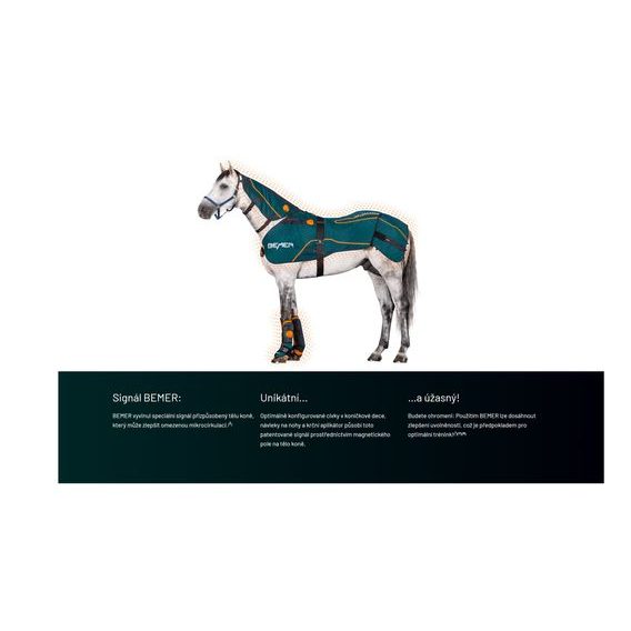 BEMER Horse-Set Perfect Duo