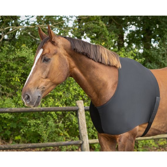 Vesta pro koně QHP elastická