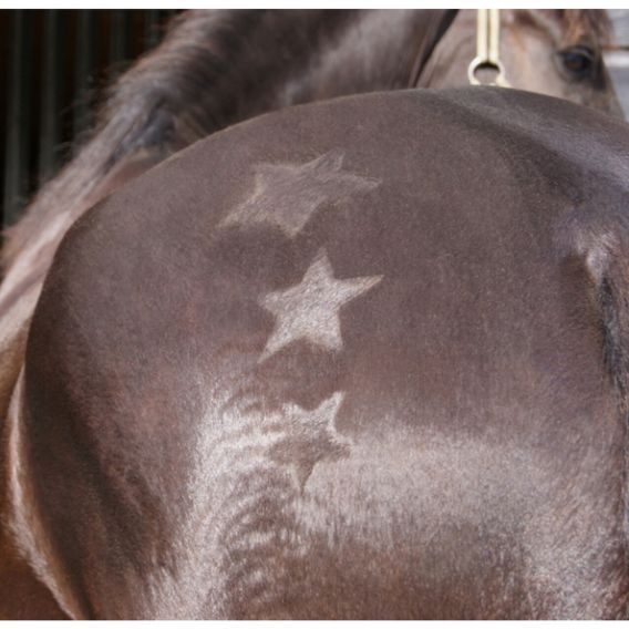 Šablona na zdobení QHP Christmas 2ks DOPRODEJ