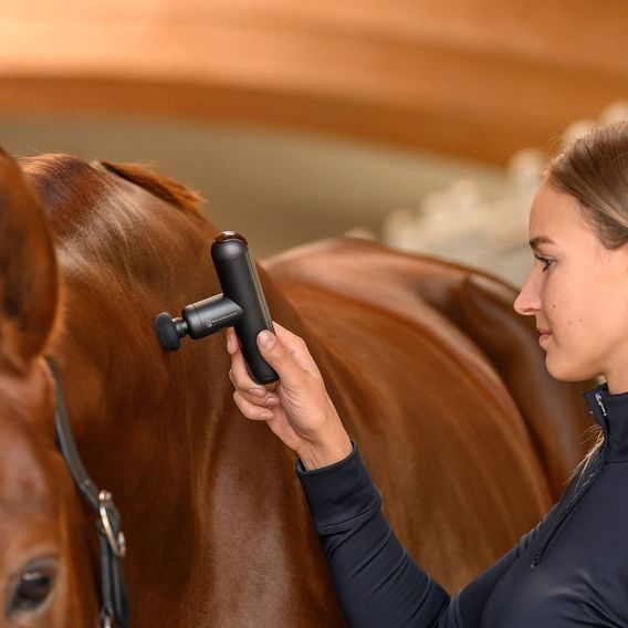 Masážní pistole W Health+Care Pocket Relax