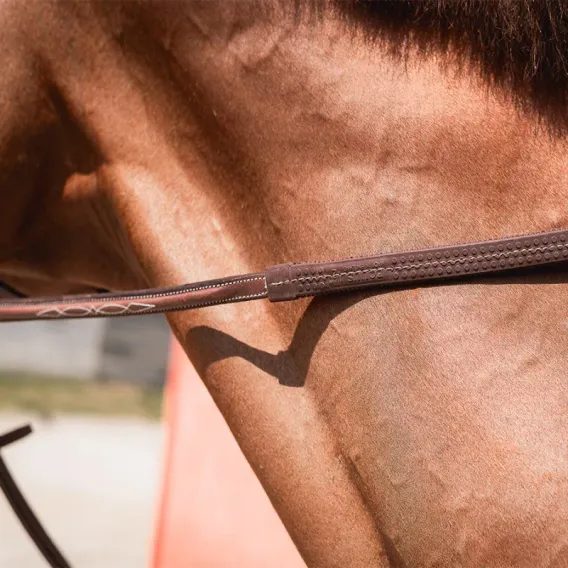 Otěže CWD Raised pogumované RE04HSP