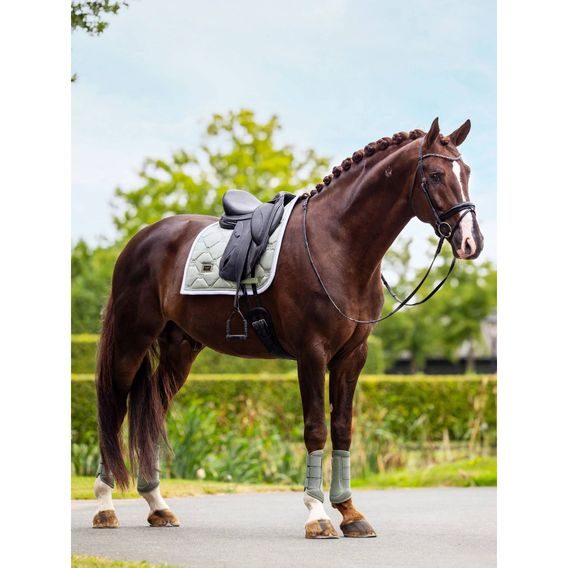 Podsedlová dečka Equestrian Stockholm Pistachio White Kolekce 2026