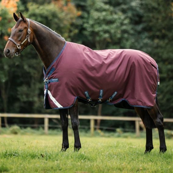 Deka výběhová Horseware Amigo 1200D 50g Kolekce 2026/27