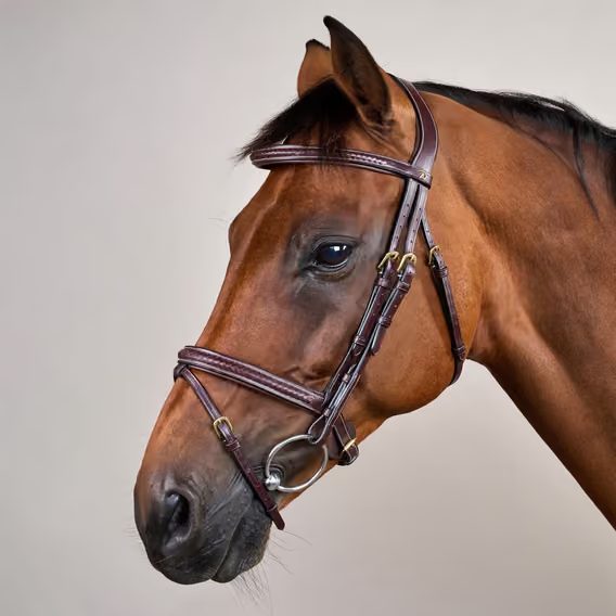 Uzdečka Dy'on Plaited Flash Noseband DYAOAK
