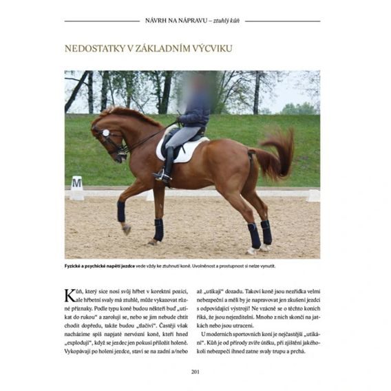 Publ Heuschmann Balanceakt