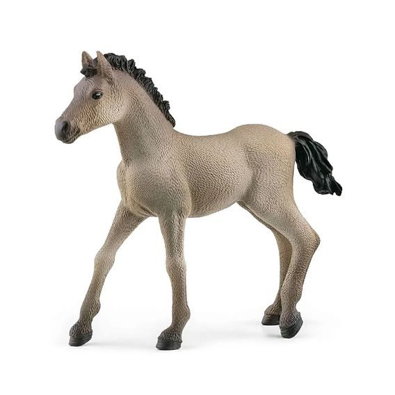 Schleich 13949 - Criollo Definitivo hříbě NEW