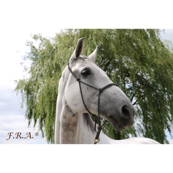 Ohlávka provazová F.R.A. Babia