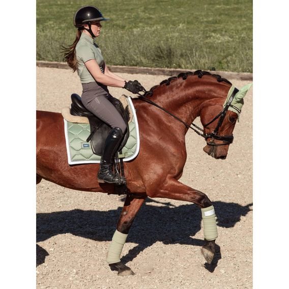 Podsedlová dečka Equestrian Stockholm Pistachio White Kolekce 2026