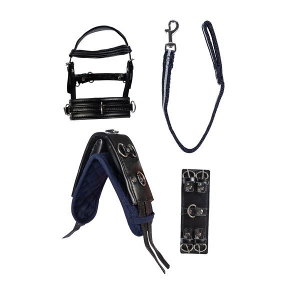 Lonžovací set Cuddle Pony DOPRODEJ