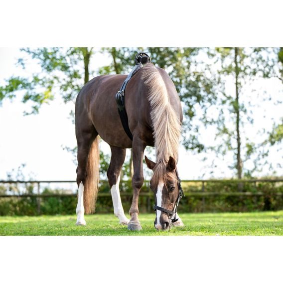 Birth Alarm Premium Complete