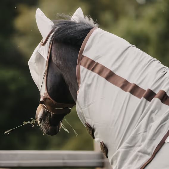 Deka síťovaná Kentucky Mesh Classic s odnímatelným krkem