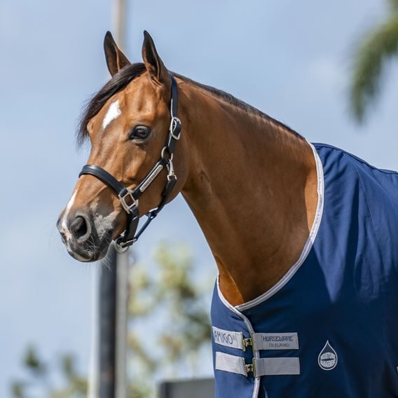 Deka lehká stájová Horseware Amigo