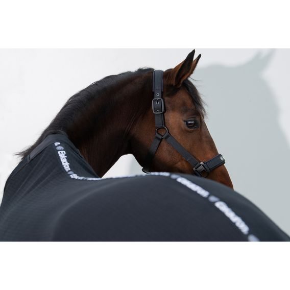 Ohlávka Eskadron Dynamic DoublePin Kolekce 2024