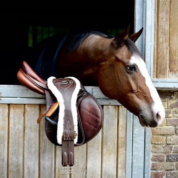 Podbříšník Kentucky kožený anatomický 42406 s beránkem