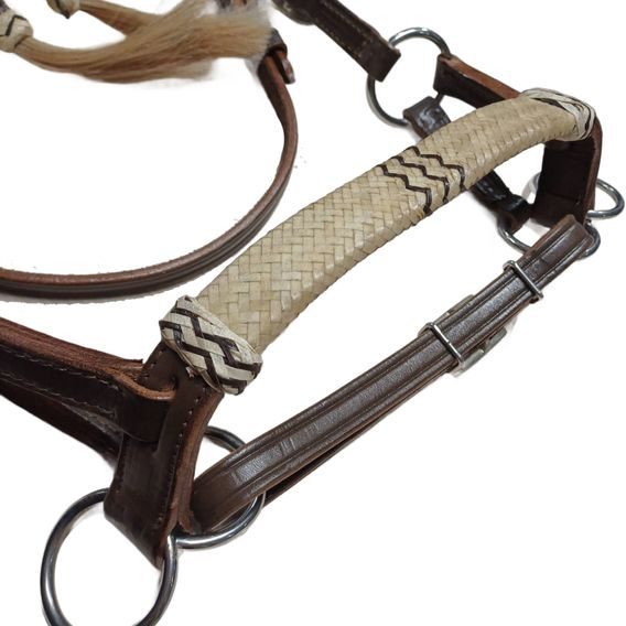 *W* Sidepull Cassini Rawhide