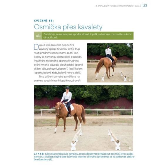 Publ Ballou Korektivní cvičení pro koně