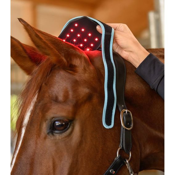 Waldhausen Health + Care Infrared FlexPad