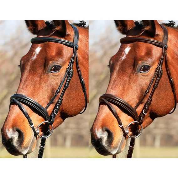 Uzdečka EuroClub Paris anglický kombinovaný nánosník