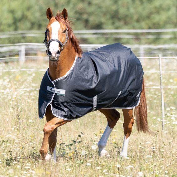 Deka termo výběhová Bucas&EQS Freedom 300g LIMITED EDITION