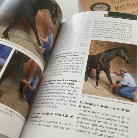 Publ Masterson Terapie koní podle Mastersona