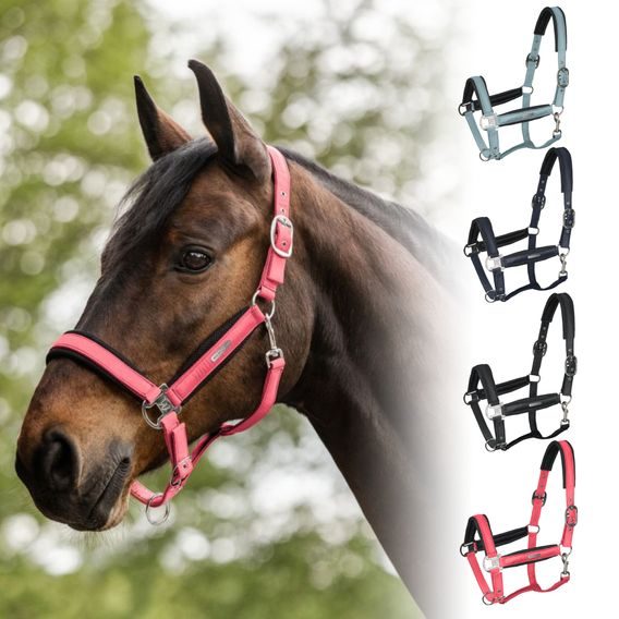 Ohlávka W Breath Mesh