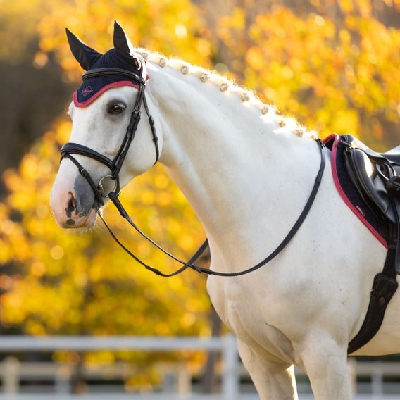 Čabraka na uši LeMieux Classic navy/cranberry Kolekce 2025/26