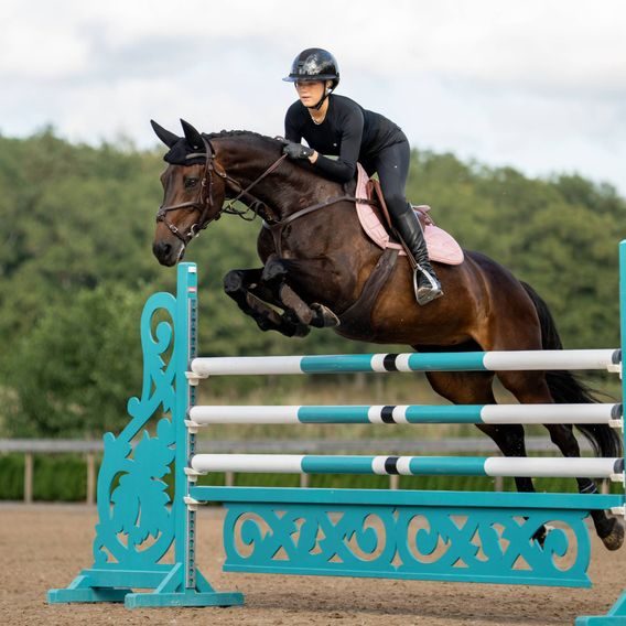 Podsedlová dečka Equestrian Stockholm Line Pink Kolekce 2026