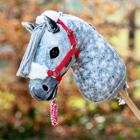 Ohlávka s vodítkem LeMieux Hobby Horse Christmas