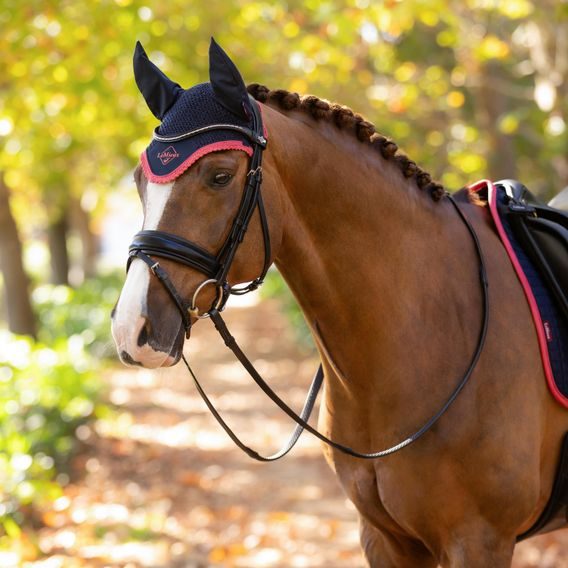 Čabraka na uši LeMieux Classic navy/cranberry Kolekce 2025/26