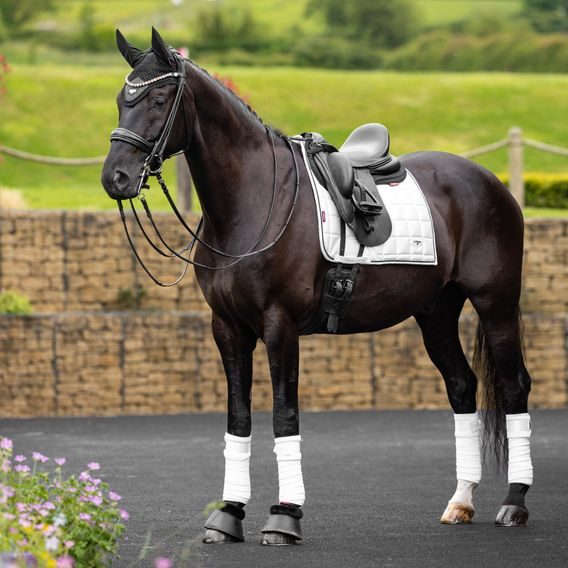 Podsedlová dečka LeMieux Loire Square DOPRODEJ