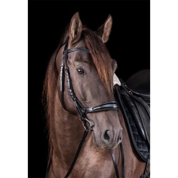 Uzdečka Schockemöhle Equitus Theta anatomická DOPRODEJ